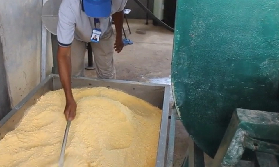 <p id="isPasted">Bapanas Sebut Singkong Berpeluang Jadi Beras Bantuan Pangan</p>