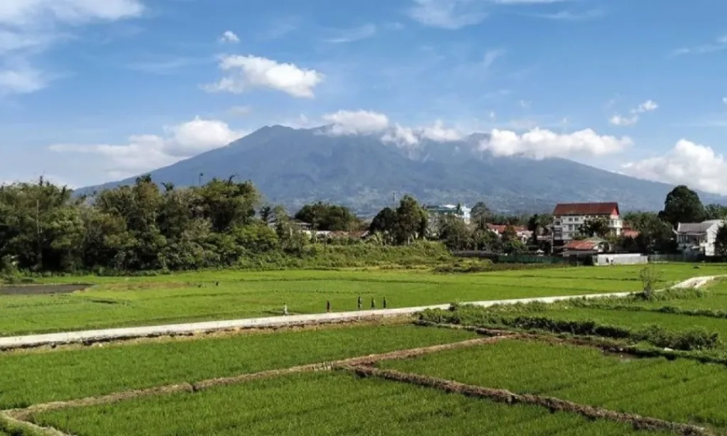 <p>Gunung Marapi Semburkan Abu Vulkanik Setinggi 1 Km</p>