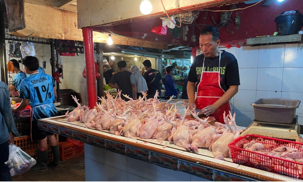 <p id="isPasted">BPS: Penurunan Produksi Jagung Picu Kenaikan Harga Daging dan Telur Ayam</p>