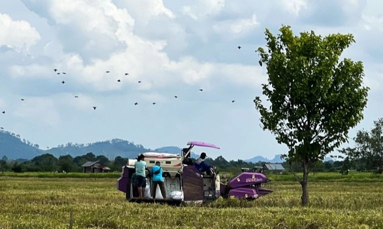 <p>Kementan Bantah Janji Beli 1.000 Alsintan Di Madiun; Isu Lama</p>