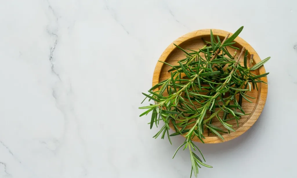 <p id="isPasted">Potensi Daun<em>&nbsp;Rosemary</em> sebagai Obat Herbal Gagal Ginjal Akut</p>