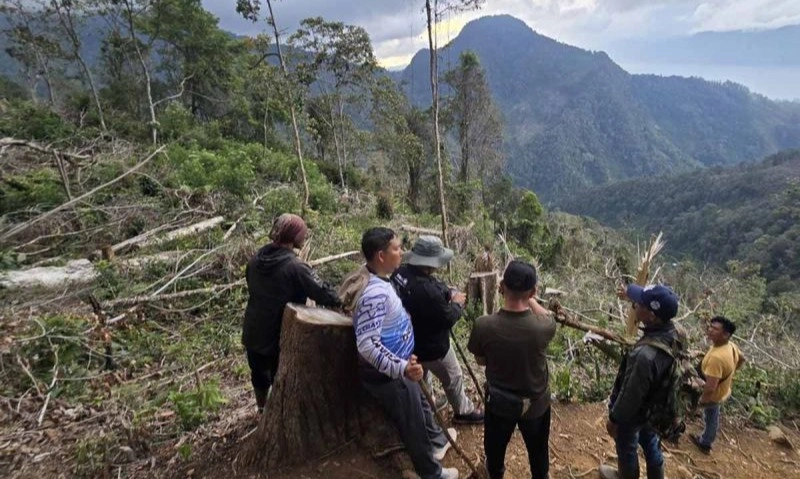<p>Polisi Aceh Tangkap Kades Rambah Hutan Lindung</p>