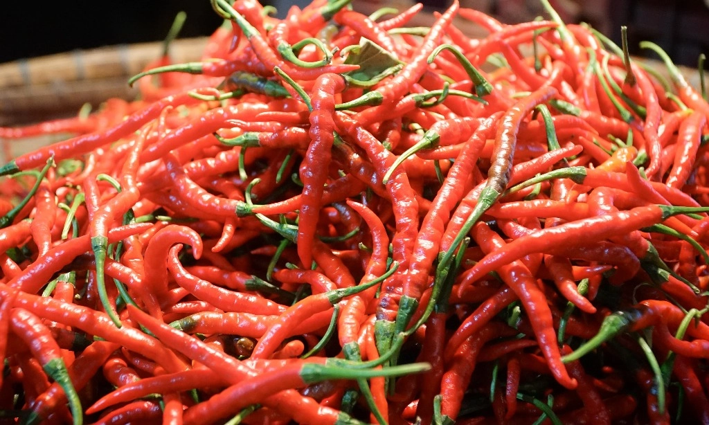 <p id="isPasted">Harga Cabai Makin Pedas, Bapanas Ingatkan Ini</p>