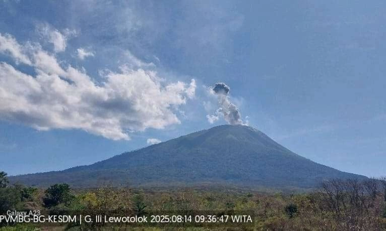 <p>Abu Ili Lewotolok Paksa Bandara Gewayantana Larantuka Tutup Sementara</p>