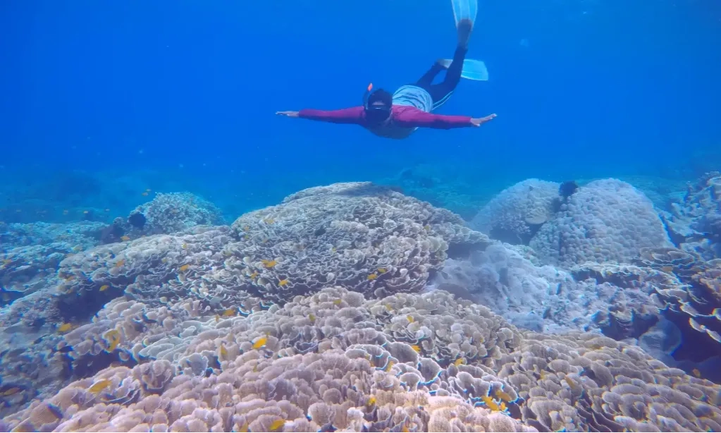 <p id="isPasted">Destinasi <em>Sport Tourism</em> Untuk Liburan Aktif Di Jakarta Hingga Bali</p>