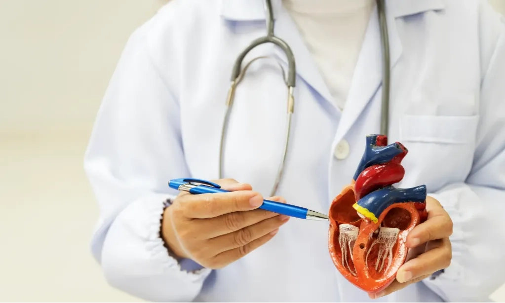 <p id="isPasted">Hari Jantung Sedunia, Mengenal Aritmia Jantung Lebih Dalam</p>