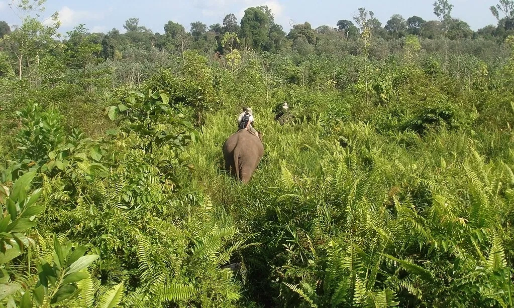 <p>Warga Adukan Penataan Kawasan Taman Nasional Tesso Nilo Ke DPR</p>