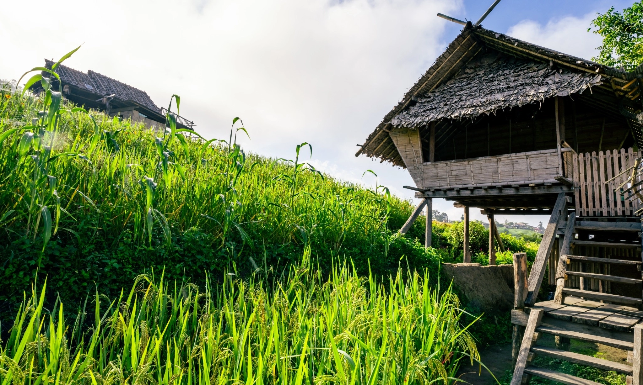 <p>Mengenal <em id="isPasted">Eco Villages&nbsp;</em>di Indonesia: Tren Desa Hijau dan Pariwisata Berkelanjutan</p>