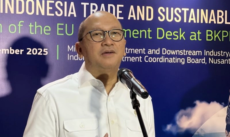 <p id="isPasted">Danantara Sebut Freeport Setuju Lepas 12% Saham Ke Indonesia</p>