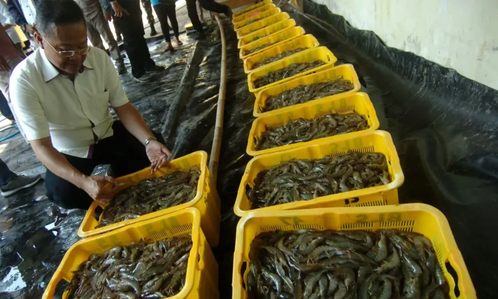 <p>Zulhas: Udang Tercemar Cs-137 Hanya di Cikande, Rantai Pasok Aman</p>