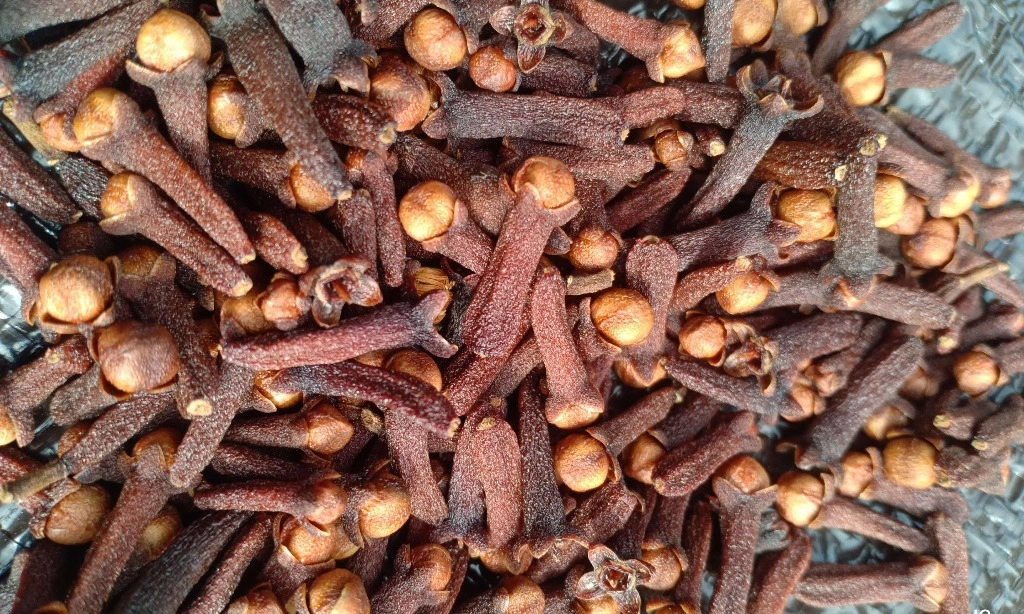 <p>KLH Selidiki Dugaan Cemaran Cs-137 Pada Cengkih</p>