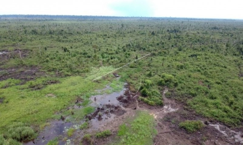 <p>Kemenhut Tahan Perambah Tahura Orang Kayo Hitam</p>