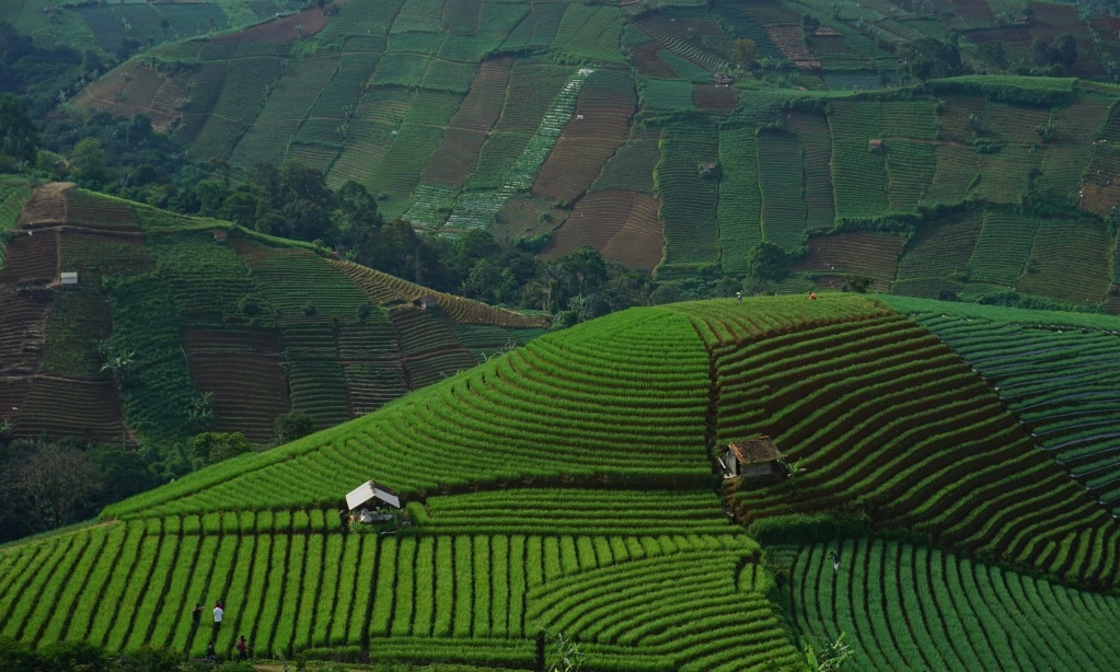 <p>Memanjakan Mata Di Destinasi Wisata Terasering</p>