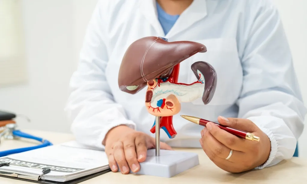 <p id="isPasted">Mengenal Jenis Fatty Liver Disease, Kondisi Penumpukan Lemak Di Hati</p>