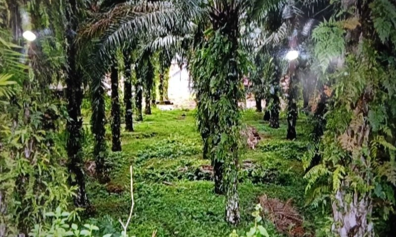 <p>Pakar Pertanyakan Sanksi Denda di PP 45 Tahun 2025&nbsp;</p>