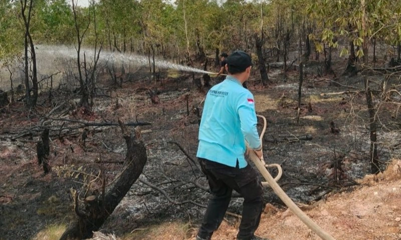 <p>Kalsel Siaga Meski Status Darurat Karhutla Dicabut&nbsp;</p>