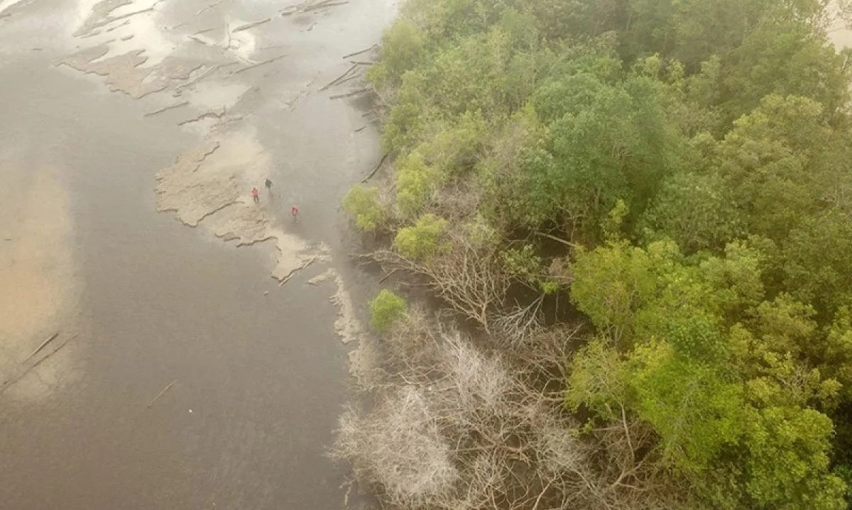 <p>Analisis Kuasa Lokal, Faktor Penentu Implementasi NbS Di Sungai Sayang</p>