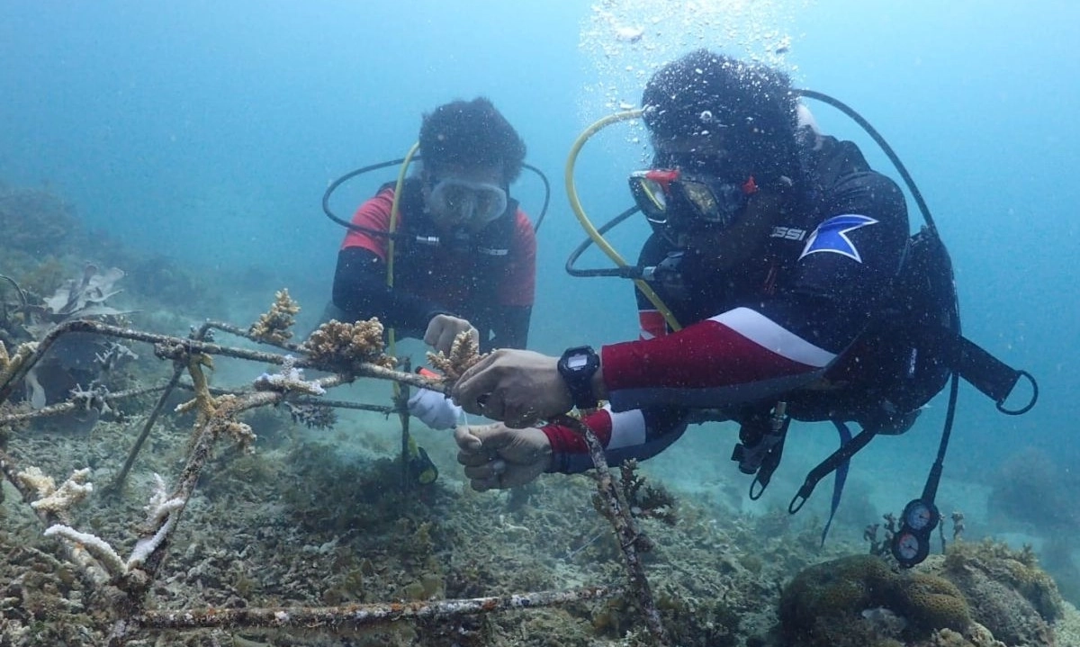 <p>Pentingnya Konservasi Terumbu Karang Untuk Kesejahteraan Indonesia</p>