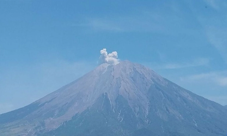 <p>Gunung Semeru Enam Kali Erupsi</p>