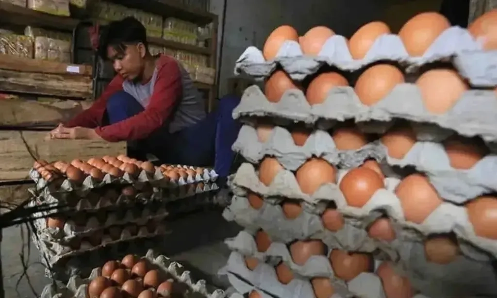 <p>Harga Telur Ayam Stabil! Capai Rp26.506/Kg, Sedikit Di Atas HAP</p>