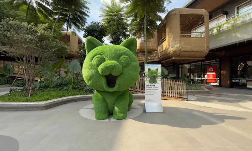 <p>Eco Paws, Ajakan Menjaga Lingkungan Lewat Instalasi Kucing Lucu</p>