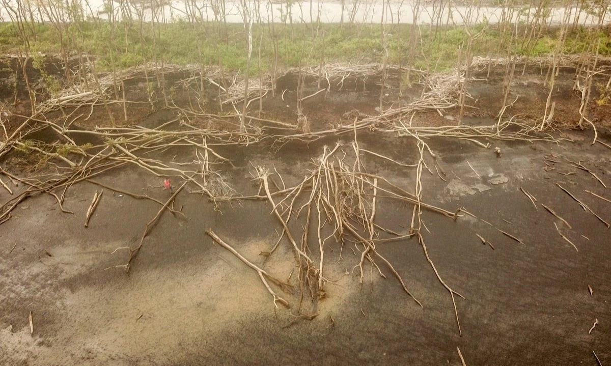 <p><em>Quo Vadis</em> Agensi Pengetahuan Lokal Dalam Penerapan<em id="isPasted">&nbsp;Nature-based Solutions</em> (NbS)&nbsp;</p>