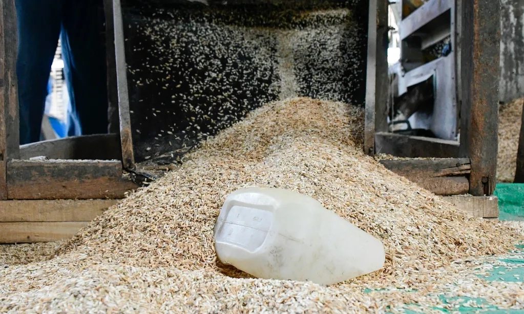 <p id="isPasted">Mentan Klaim Swasembada Pangan 2-3 Bulan Ke Depan, RI Tak Impor Beras Lagi</p>