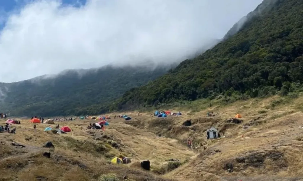 <p>Pendakian Gunung Gede Pangrango Ditutup Sementara, Ini Alasannya</p>