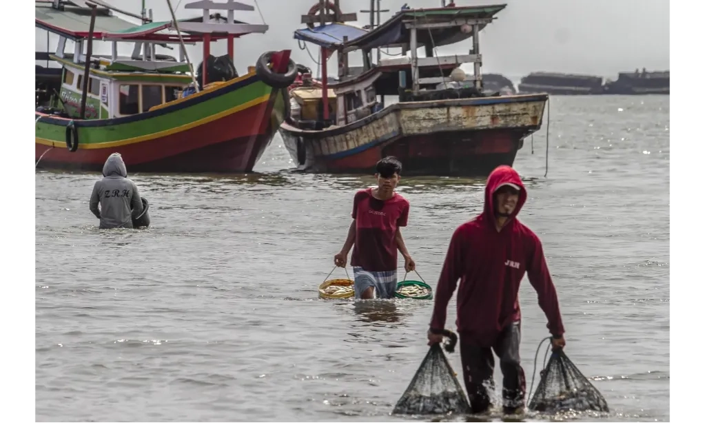 <p id="isPasted">Kemenkeu: <em>Illegal Fishing</em> Jadi Penyebab PNBP Perikanan Belum Optimal</p>