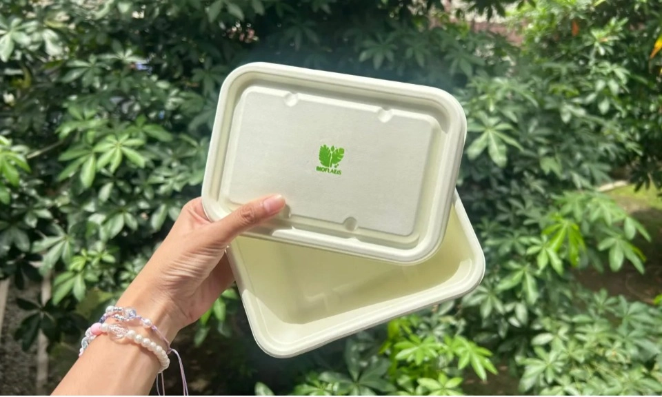 <p>Limbah Kelapa Sawit Disulap Jadi Wadah Makan <em>Styrofoam</em> Ramah Lingkungan</p>