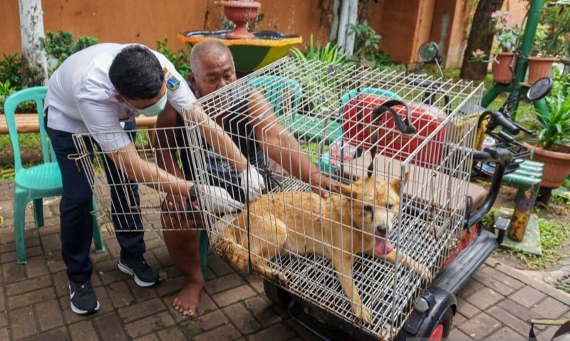 <p>DPRD Dukung Pramono Terbitkan Pergub Larangan Perdagangan Daging Anjing</p>