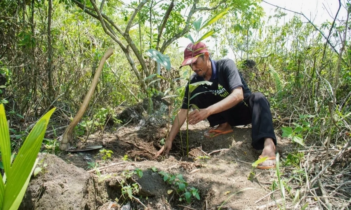 <p>Menjaga Keseimbangan Ekosistem Dengan Reboisasi Lahan Kritis</p>