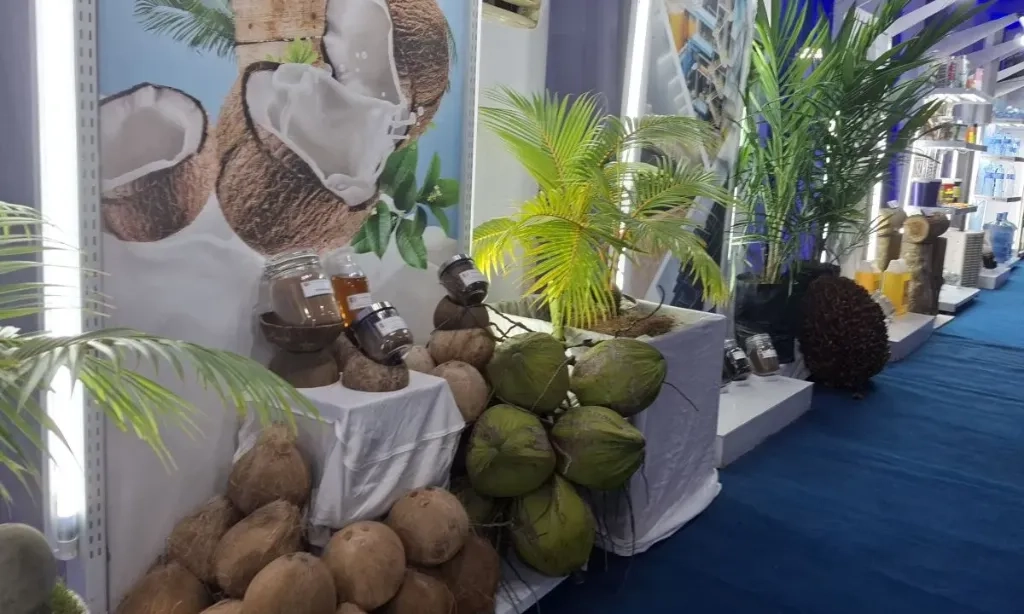 <p>Rosan: China Hilirisasi Kelapa RI, Ada Yang Tanam Modal US$100 Juta</p>