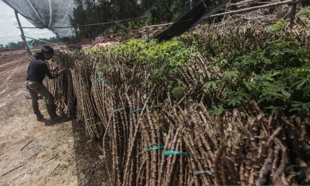 <p>Ada B50 dan E10, Zulhas: <em>Enggak</em> Ada Lagi Lahan Pertanian Kosong</p>