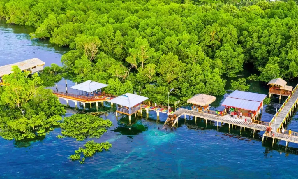 <p>Sulawesi Tenggara Penuh Atraksi Pariwisata, Simak Agendannya Di 2026</p>