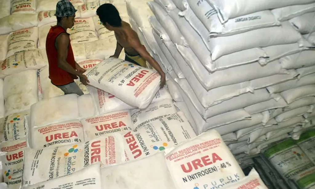 <p>Amran: Efisiensi Prabowo Bikin Harga Pupuk Subsidi Turun 20%!</p>