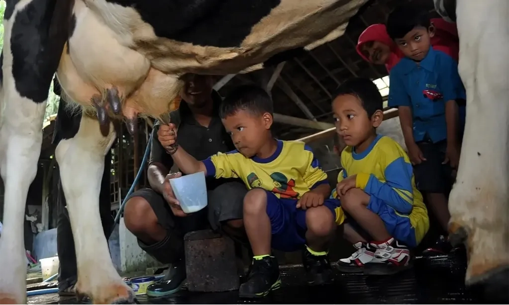 <p>Kenali Tanda Alergi Susu Sapi Sejak Dini</p>