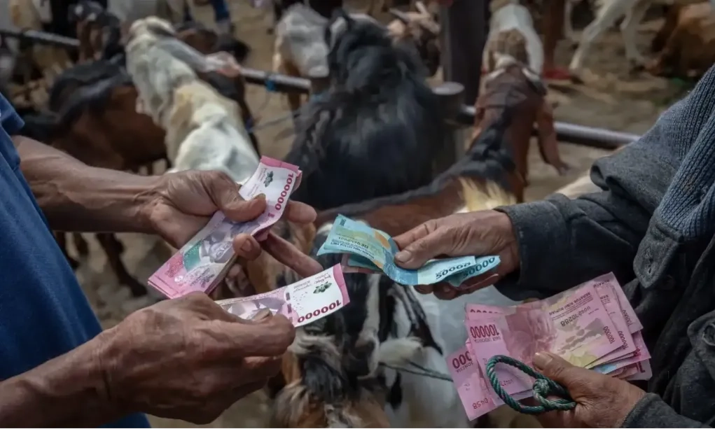 <p id="isPasted">BI: Tumbuh 8,0%, Uang Beredar M2 Pada September Capai Rp9.771 T</p>