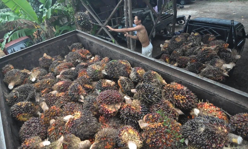 <p id="isPasted">Menperin: Cargill Bangun Kilang Untuk Perkuat Industrialisasi Minyak Kelapa Sawit</p>