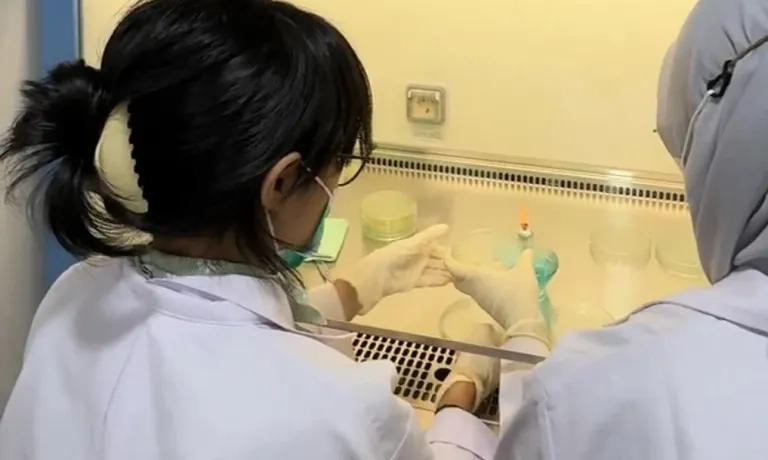 <p>Enceng Gondok Dan Mikroalga Jadi Bahan Medis Penyembuh Luka Diabetes</p>