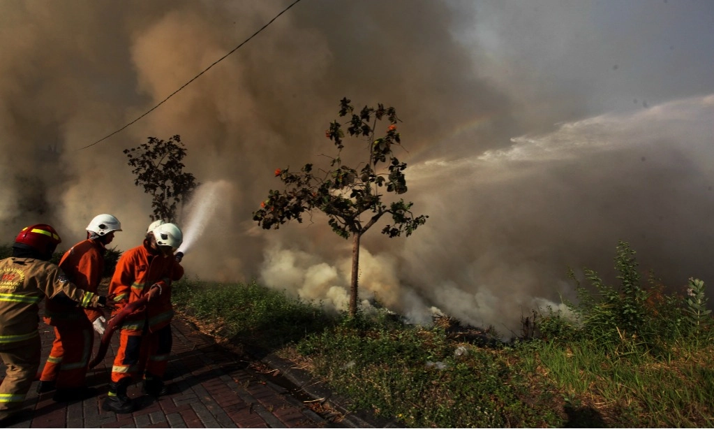 <p>Menhut Pastikan Luas Karhutla Menurun Di 2025</p>