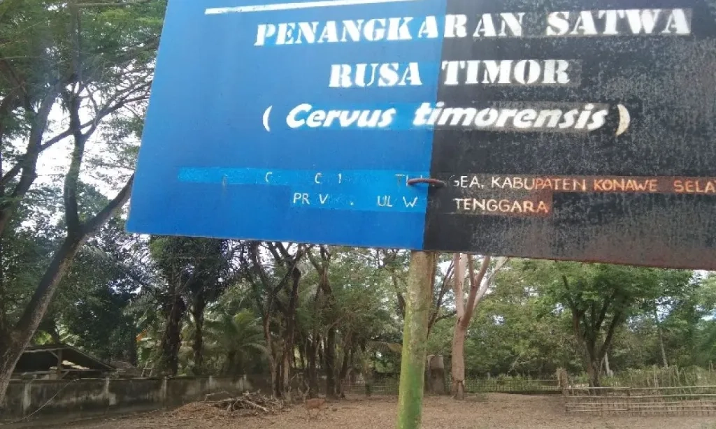 <p>Menhut Sarankan Relaksasi Izin Penangkaran Satwa Langka</p>