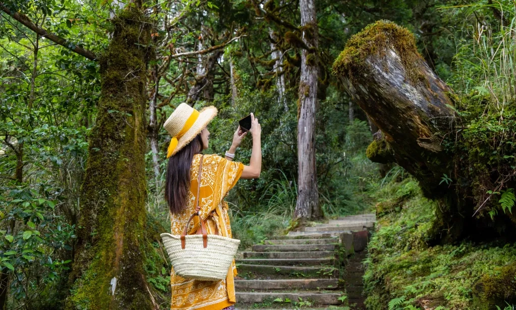 <p>Pilihan Negara Tujuan Ekowisata</p>