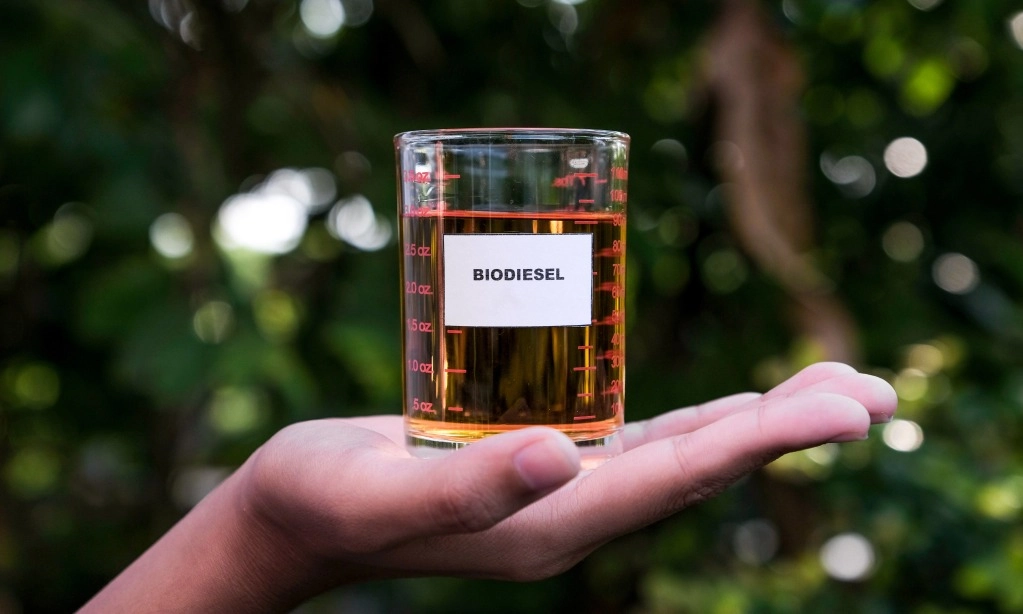 <p id="isPasted">Kemenperin Ditugasi Cek Ketersediaan Bahan Baku CPO Untuk Dukung B50</p>