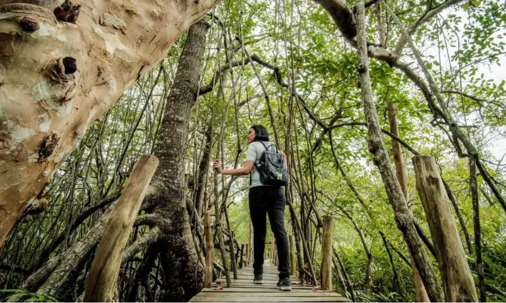 <p>Menaker Ajak Kampus Siapkan SDM Kompeten Isi 1,5 Juta <em>Green Jobs</em></p>