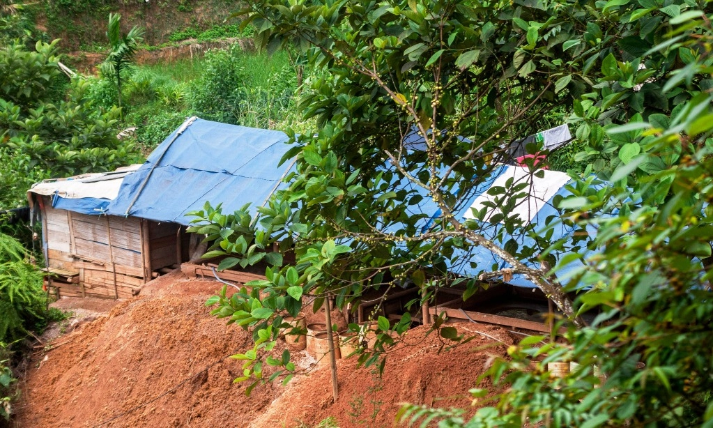 <p>Kemenhut Identifikasi 411 Lubang Peti Di Gunung Halimun Salak</p>