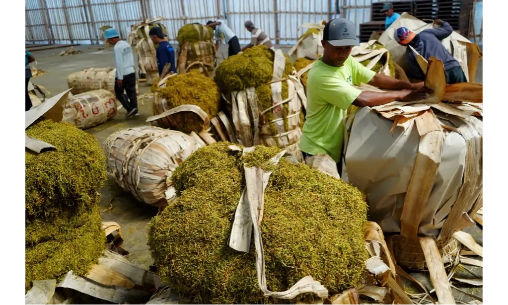 <p id="isPasted">Sektor Industri Pengolahan Tembakau Dan Kertas Bukukan Nilai IKI Tertinggi Oktober</p>