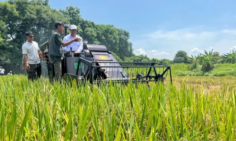 <p>Produksi Beras 34,77 Juta Ton! Amran: Swasembada RI di Depan Mata</p>