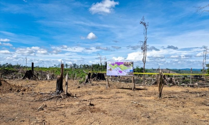 <p>Pemerintah Ambil Langkah Jaga Bentang Seblat</p>