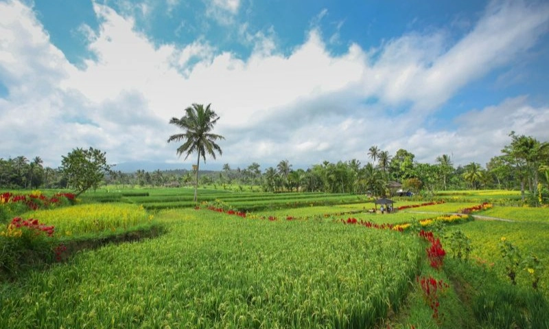 <p>Ijen Golden Route, Daya Tarik Wisata Banyuwangi</p>